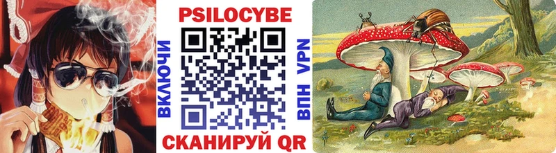 закладки  Новороссийск  мега   Псилоцибиновые грибы GOLDEN TEACHER 