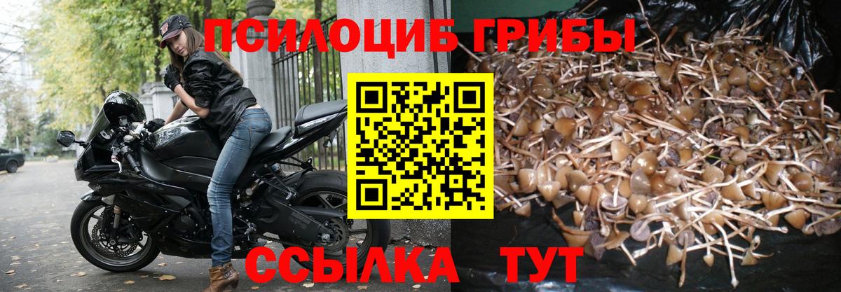 Псилоцибиновые грибы прущие грибы  Вход с VPN  Псилоцибиновые грибы мухоморы  Новороссийск 