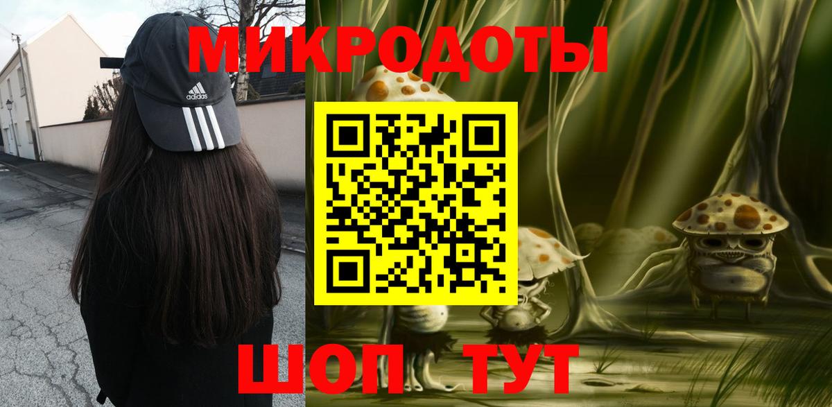 Псилоцибиновые грибы Cubensis Новороссийск