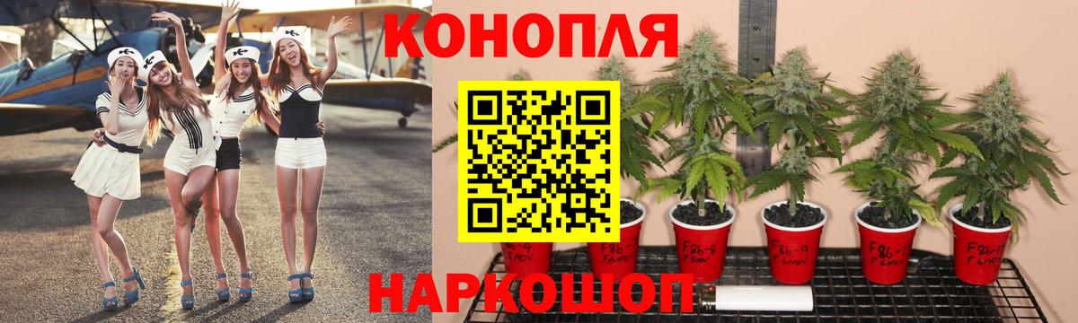 Шишки марихуана LSD WEED  Каннабис гибрид  Марихуана семена  Канабис конопля  Вход с VPN  Новороссийск 